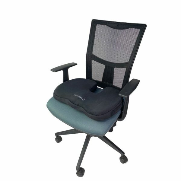 COUSSIN D’ASSISE DÉCOUPE SACRUM – Image 2